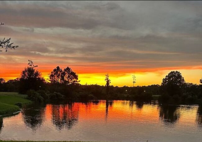 Photo - 531 Hedgewood Dr