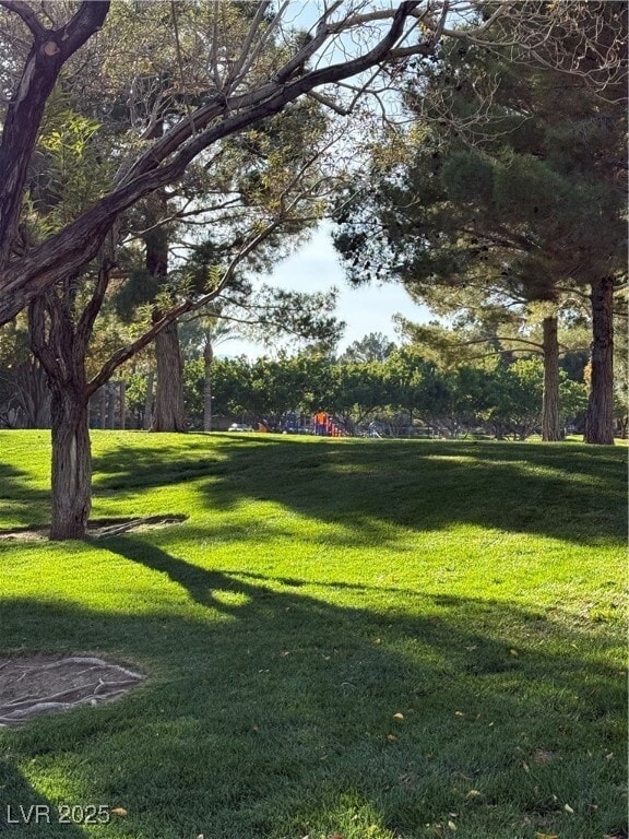 Photo - 11230 Revelry Ln