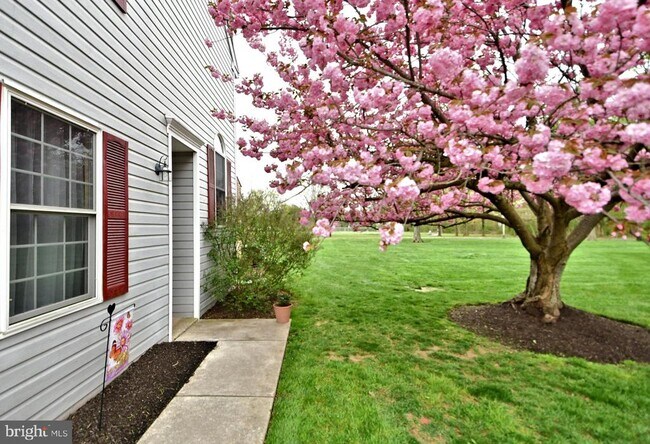 Photo - 800 Beacon Ct