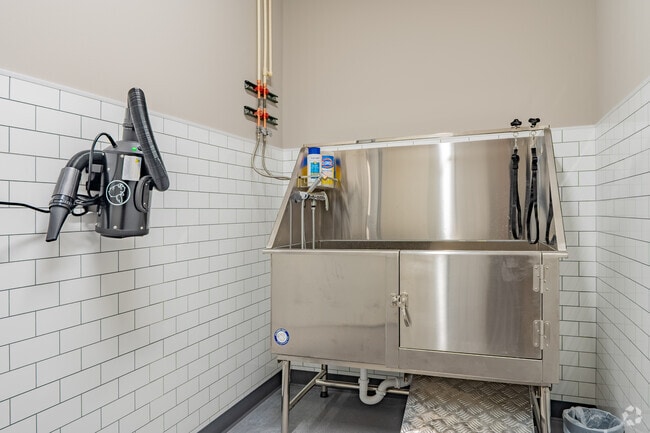 Pet Washing Station