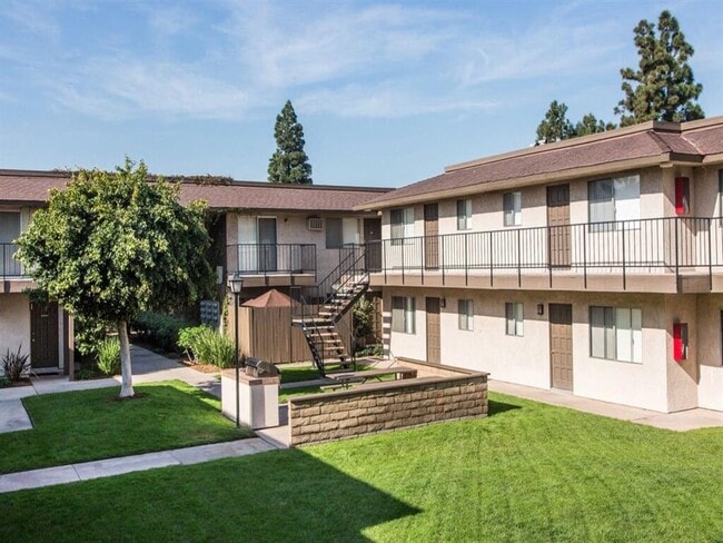 Photo - Orange Grove