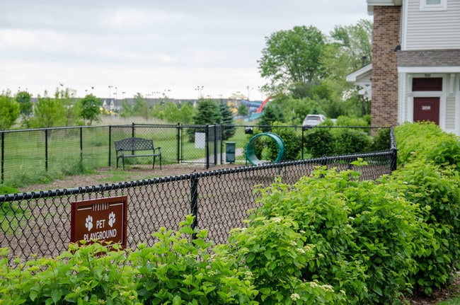 Photo - Prairie Grass at Jordan Creek