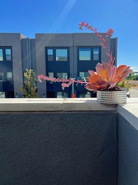 Photo - 1002 Central St