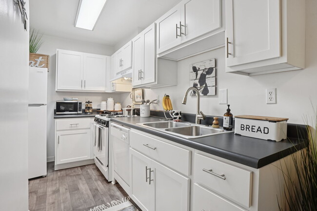 975 Sq Ft 2BR - Kitchen