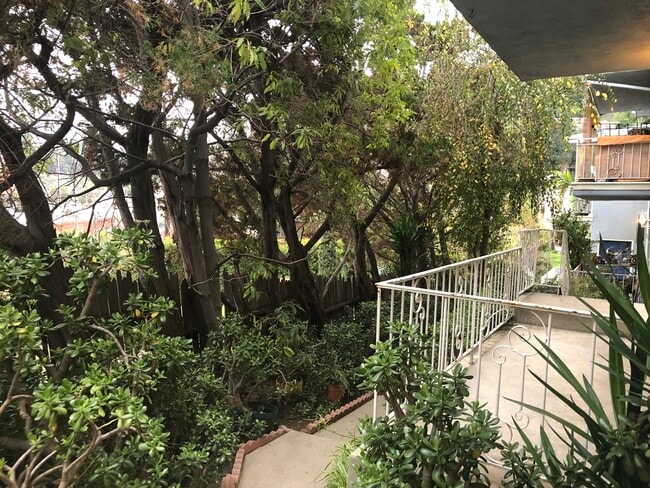 Patio & Trees