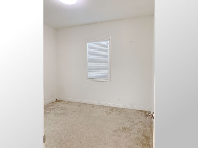 Photo - 16 Manzanillo