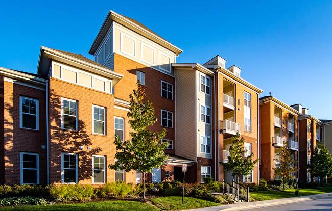 Serenity Place at Dorsey Ridge - Serenity Place at Dorsey Ridge Apartments