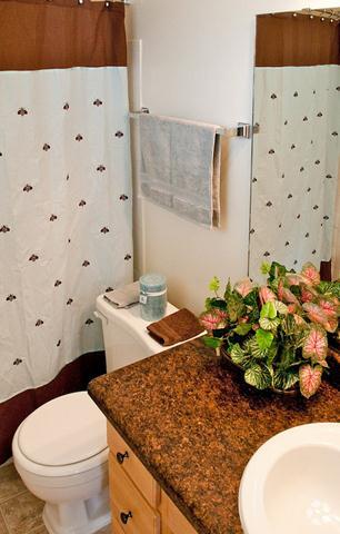 Bathroom - The Point at Arrowhead