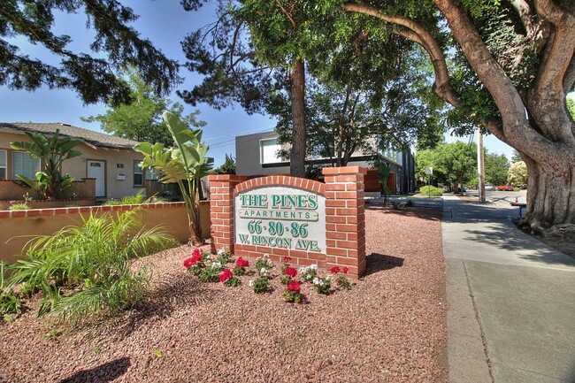 The Pines Apartments - The Pines Apartments