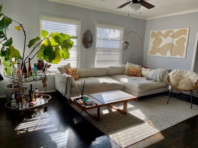 Living Room (just painted a very light gray & a new white ceiling fan installed) - 1008 6th St Unit F