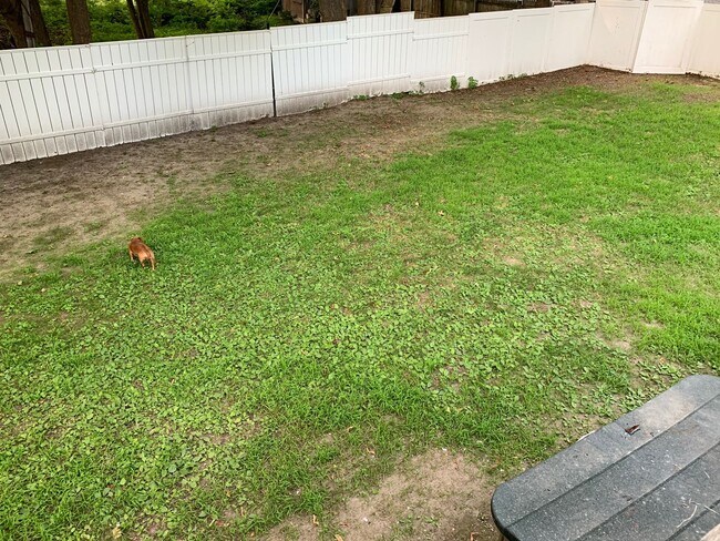 Photo - 117 Ashmont St Unidad 1