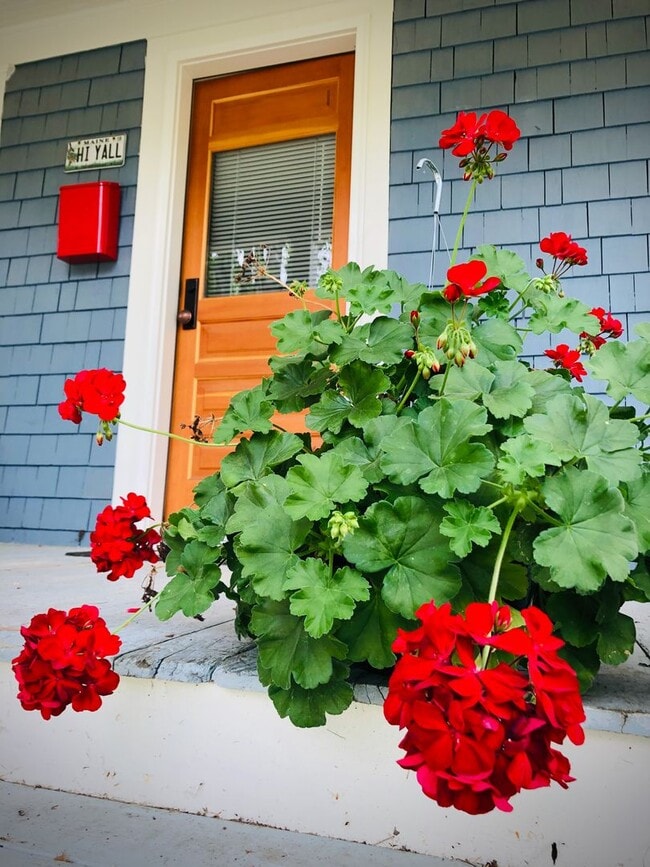 Photo - Charming 2 Bed 1 Bath