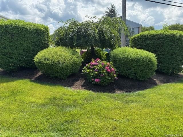 Photo - 12 Winchester Ave Unidad DM