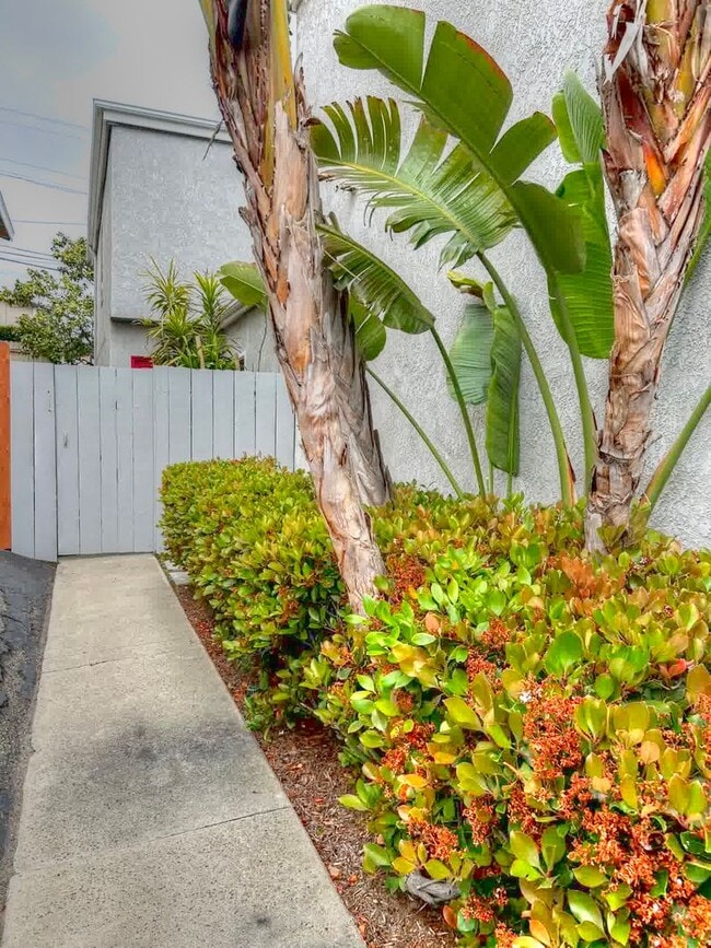 Photo - 33936 Alcazar Dr Unit 33936 Alcazar