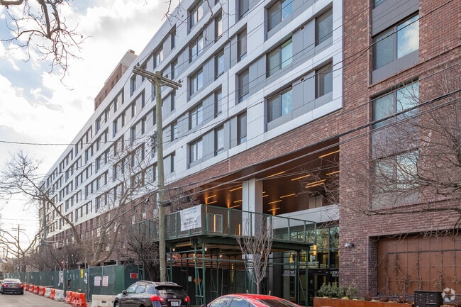 Photo - Atlantic Chestnut