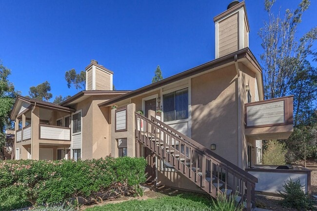 Photo - Alpine Woods