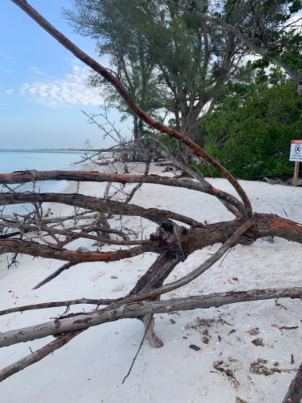 Photo - 1 Bluebill Ave Unit 604