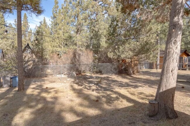 Photo - Mountain Lane