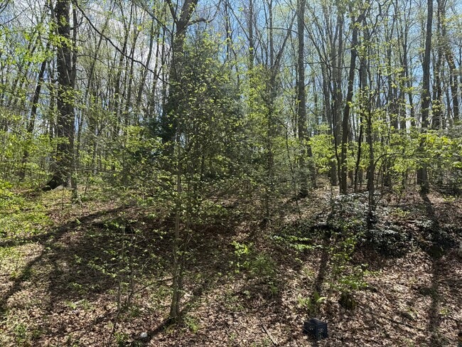 Photo - 46 Lime Kiln Rd