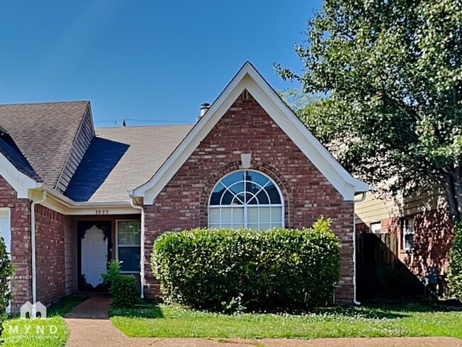Building Photo - 7833 Shadowland Cove Rental