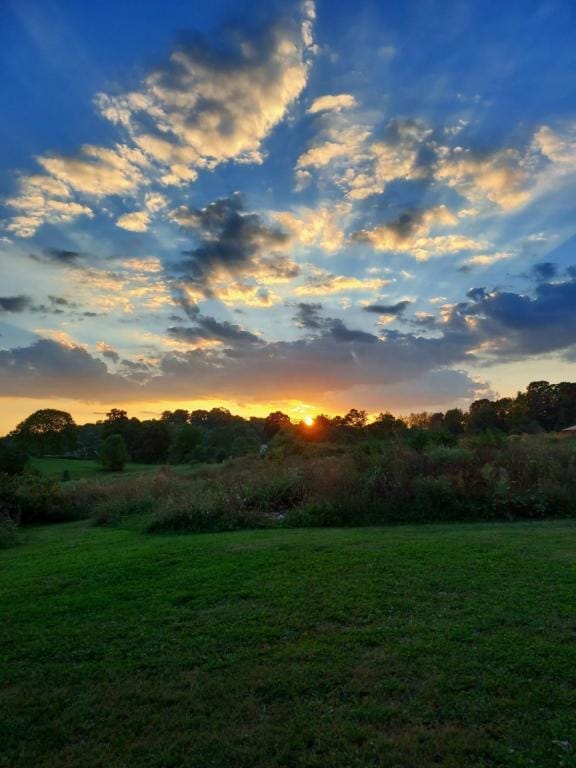 937 Old Boones Creek Rd Rental House Rental in Jonesborough, TN