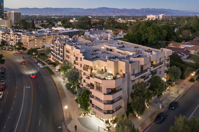 The Ivy Apartments - The Ivy Apartments