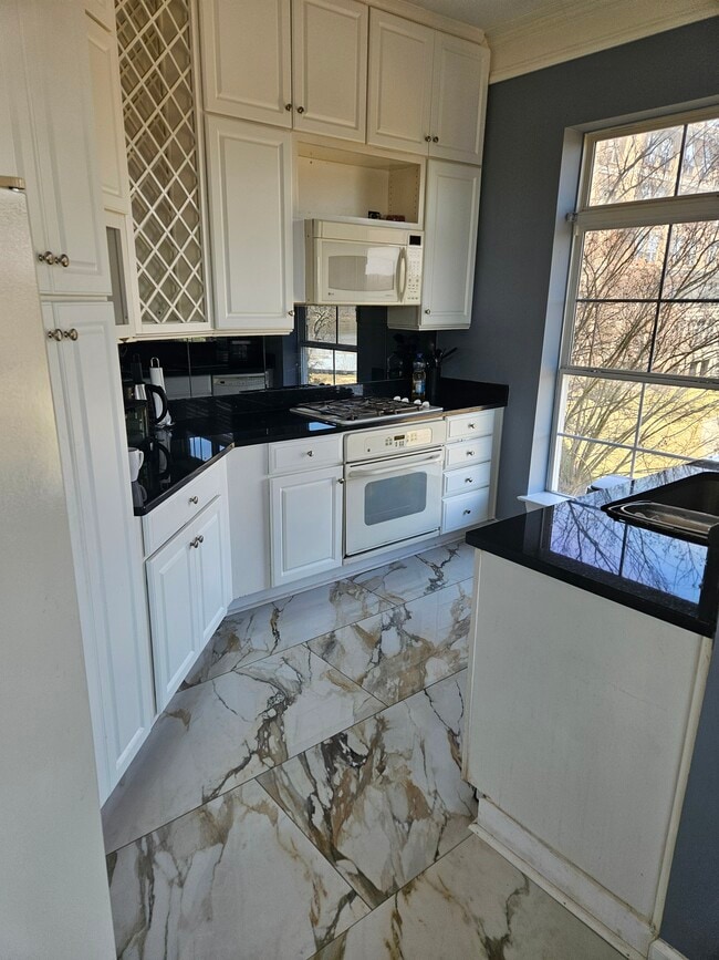 Kitchen - 810 Belmont Bay Dr Unit 204