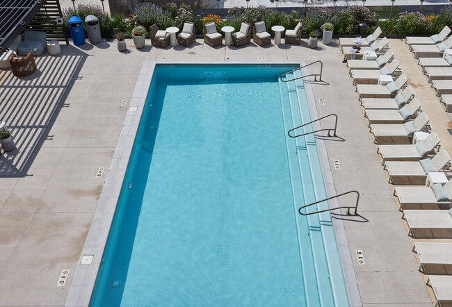 Photo - 1006 S Michigan Ave Unit FL60-ID1287550P