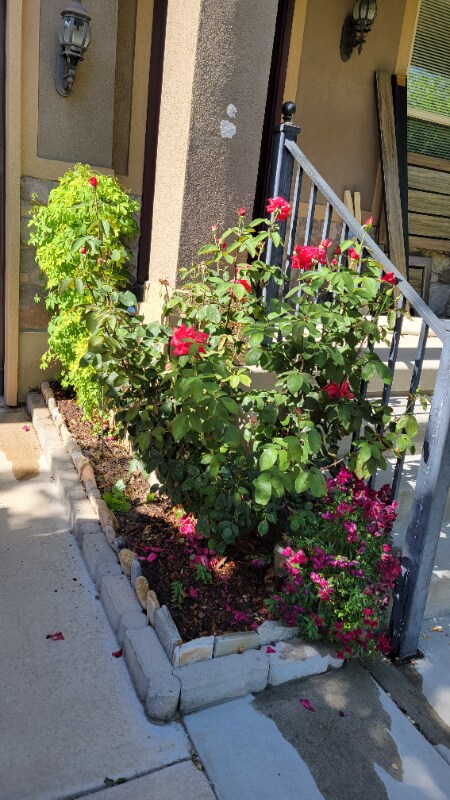 Photo - 807 Whisper Cove Rd