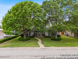 Photo - 109 Weeping Willow