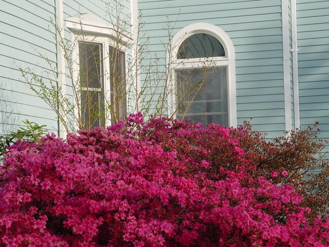 Photo - 324 Little Falls St