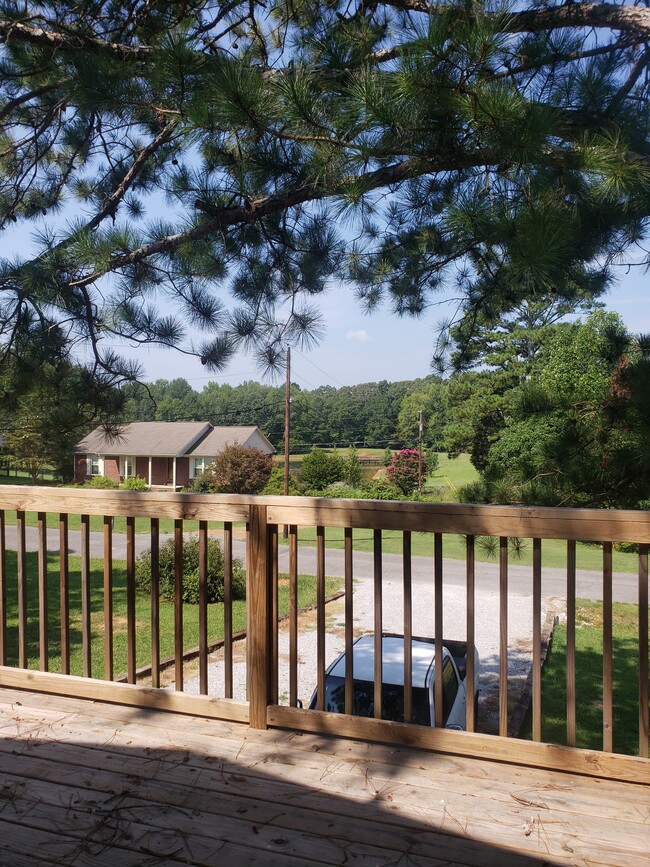 Bird's Eye View Of Lake Across Street - 254 Frances Dr House