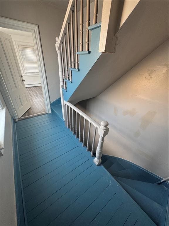 Photo - 23 Barrows St