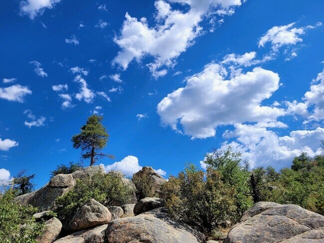 Photo - 1135 Boulder Park Ave