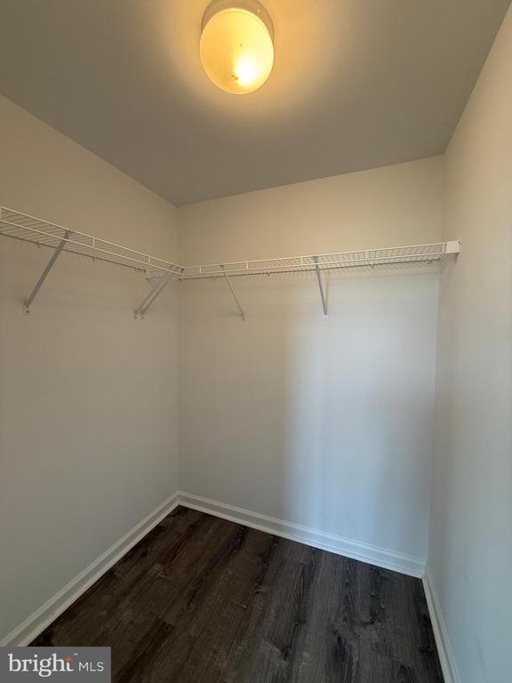 Photo - 2401 Copa Ct