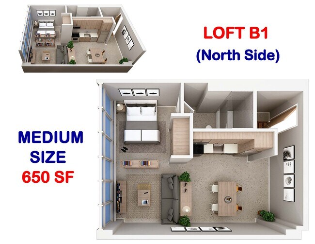 Loft B1 - 650 SF (North Side)