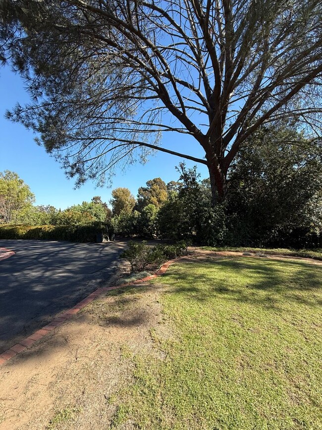 Photo - Ranch Style Home on Large Lot with Circular Driveway