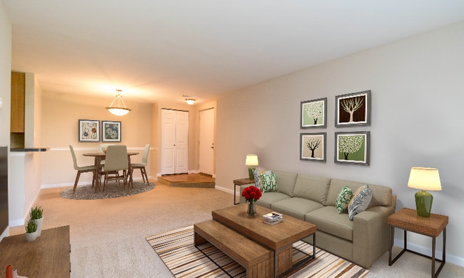 Avana Stoney Ridge