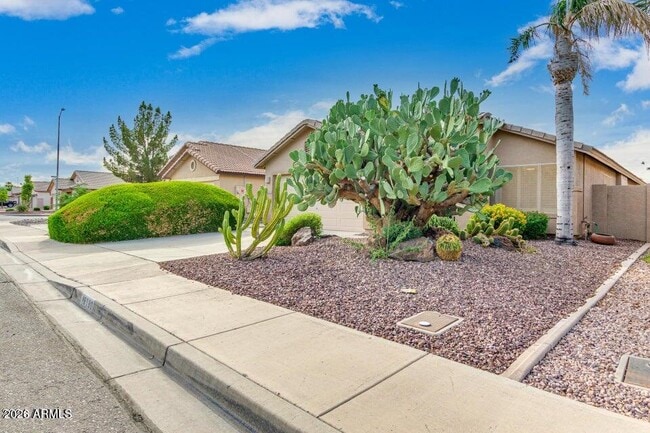 Photo - 8190 W Behrend Dr