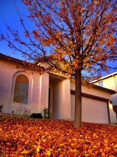 Photo - 111 Lembi Dr House