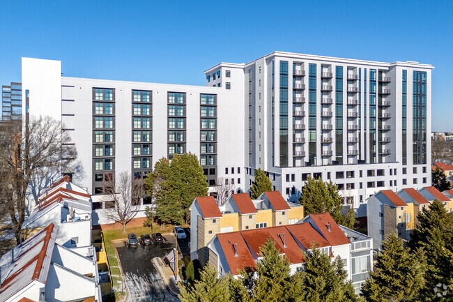 The Campbell - The Campbell