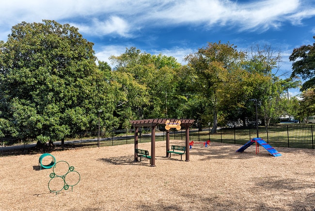 Dog Park