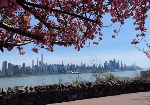 Photo - 6515 BOULEVARD Unit 2J