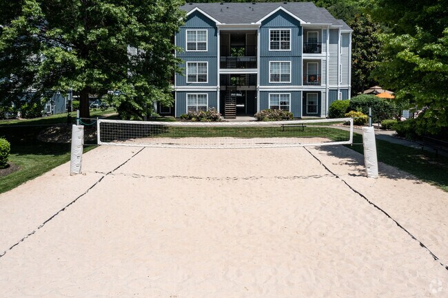 Volleyball Court