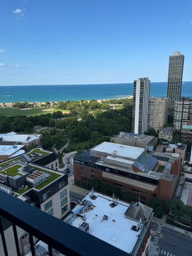 Photo - 1560 N Sandburg Ter Unit 2906