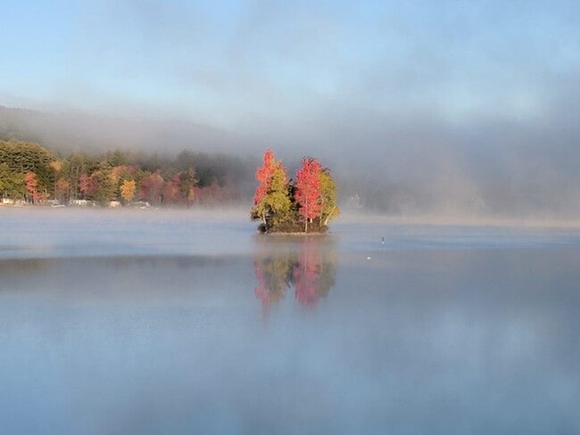 Photo - 217 Bailey Rd