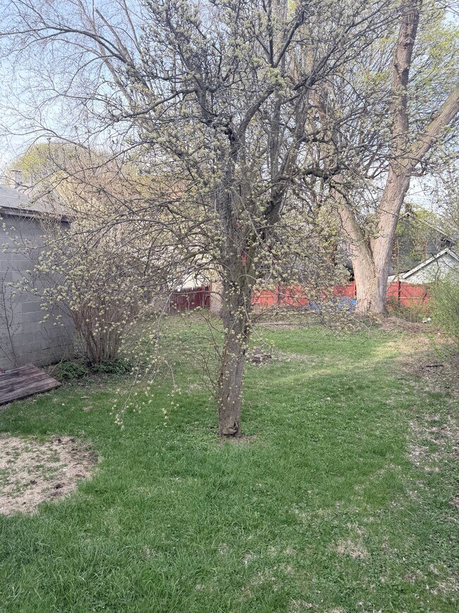 Photo - 1022 Avery Ave