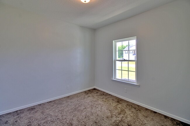 Photo - 29 Quarter Horse Run