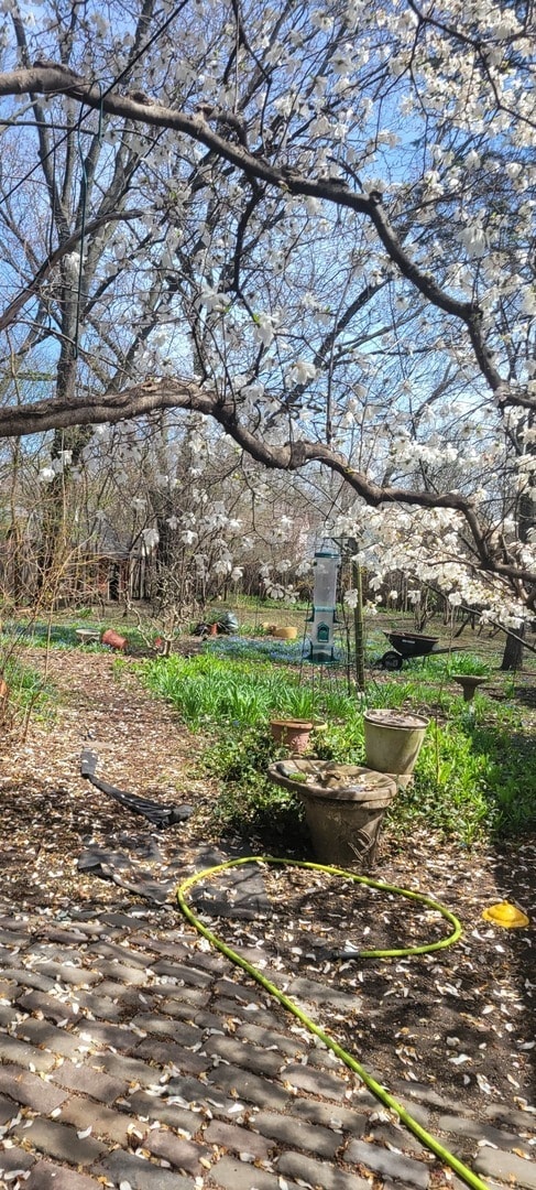 Photo - 6921 Clarendon Hills Rd