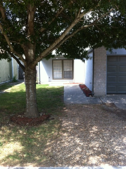 Mature Red Oak tree in front yard, private entry - 14519 Clovelly Wood Townhome